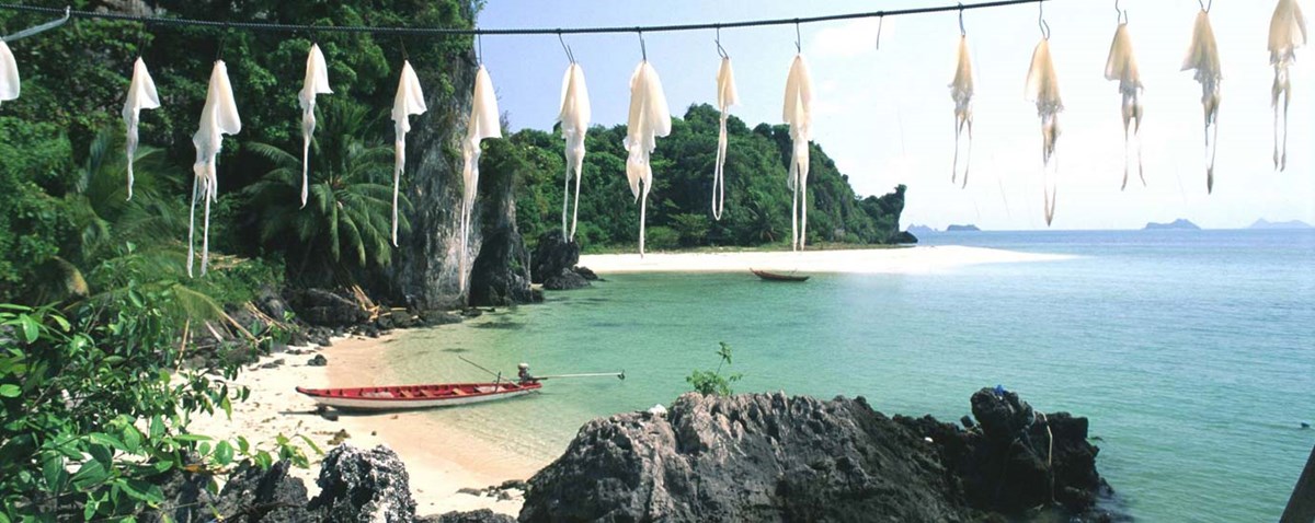 5 eco-friendly marine experiences in Thailand